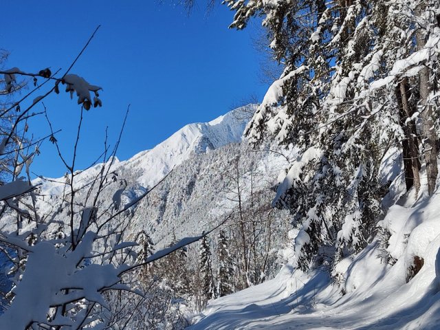 Appartement Lieblingsplatz - Sankt Anton am Arlberg