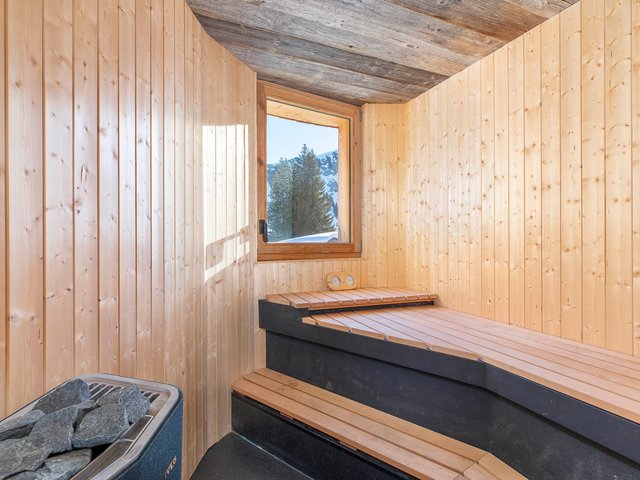 CHALET HAUTS FORTS - Avoriaz