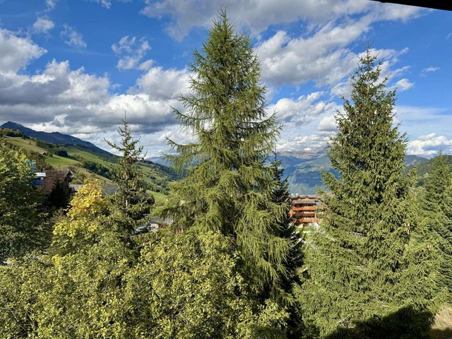 Appartement Teppes  TEP46VAS - Valmorel