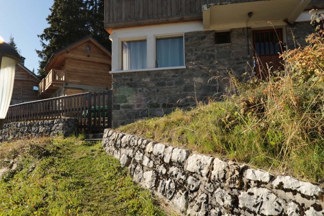 Appartements LES DRYADES - Courchevel 1850