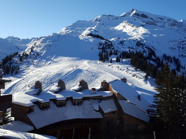 Résidence ARAUCARYA - Avoriaz