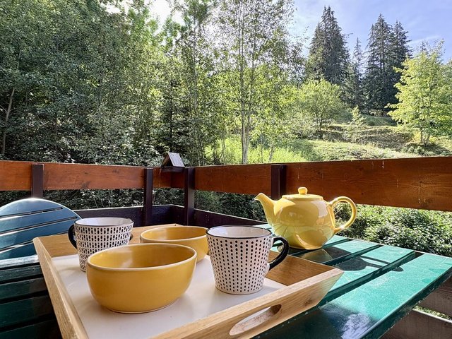 Appartement Cheval Noir  CHN32GRA - Valmorel