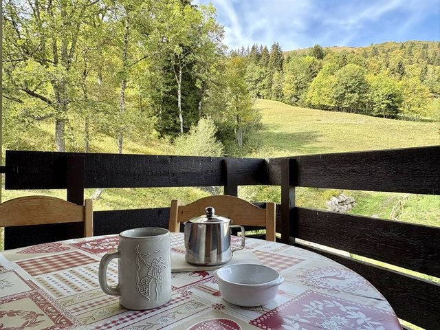 Appartement Clairiere CLAIR33IST - Valmorel