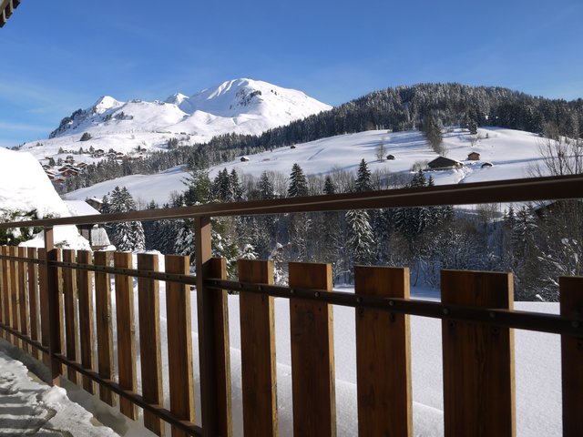 Appartement cosy pour 4 personnes avec balcon au Grand-Bornand FR-1-467-97 - Le Grand Bornand