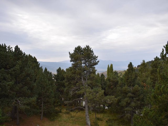 Studio Font-Romeu-Odeillo-Via, 1 pièce, 2 personnes - Font Romeu - Pyrénées 2000
