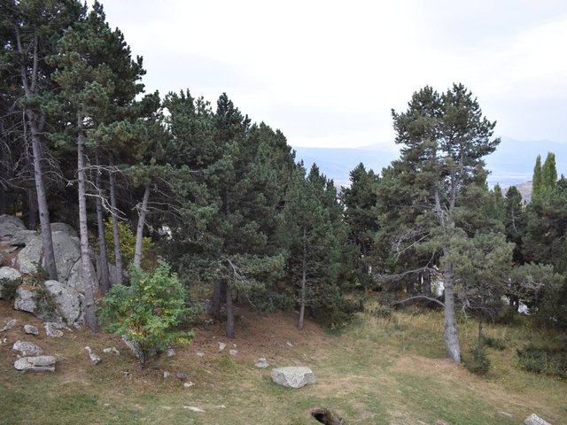 Studio Font-Romeu-Odeillo-Via, 1 pièce, 2 personnes - Font Romeu - Pyrénées 2000