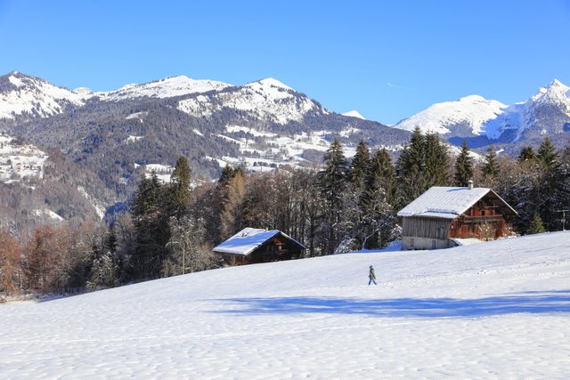 Appartement Les Eterlous 37- Appt skis aux pieds 4 pers - Morillon 1100 Les Esserts