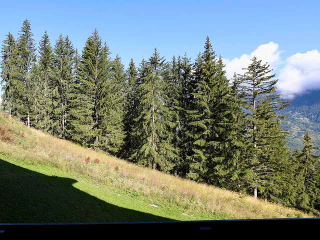 Résidence BRIGUES - ENTREE A - HAUT - Courchevel 1650
