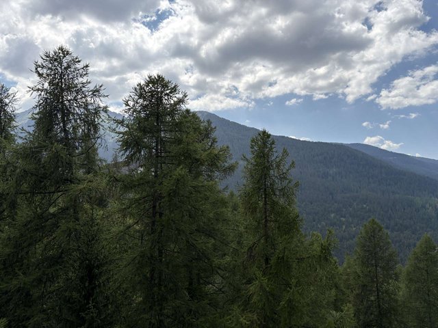 Appartement Le Meale MEA702 - Les Orres