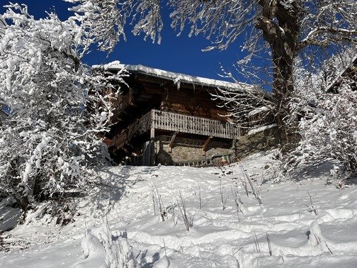 Chalet La Miette - Châtel