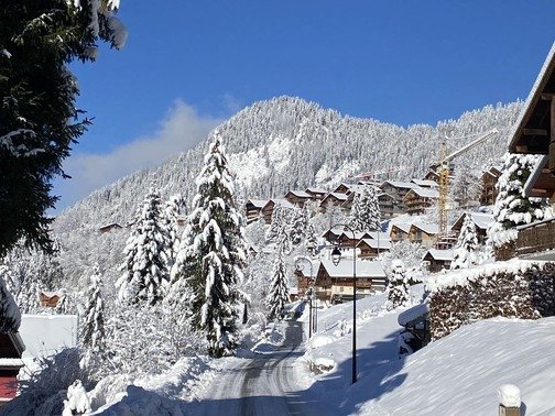 Chalet La Miette - Châtel