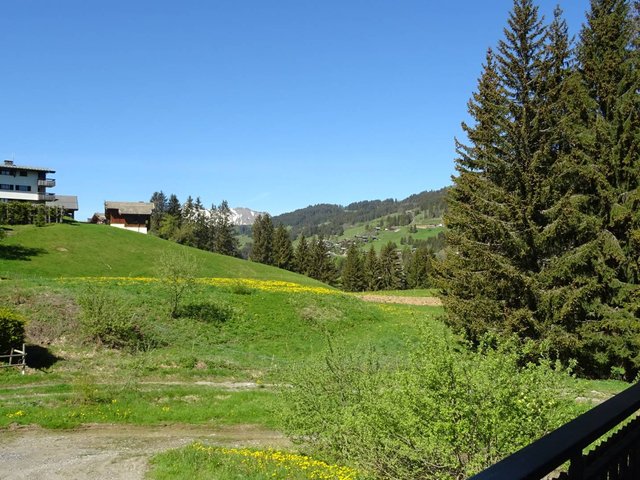 Résidence COPINIERE - Les Gets