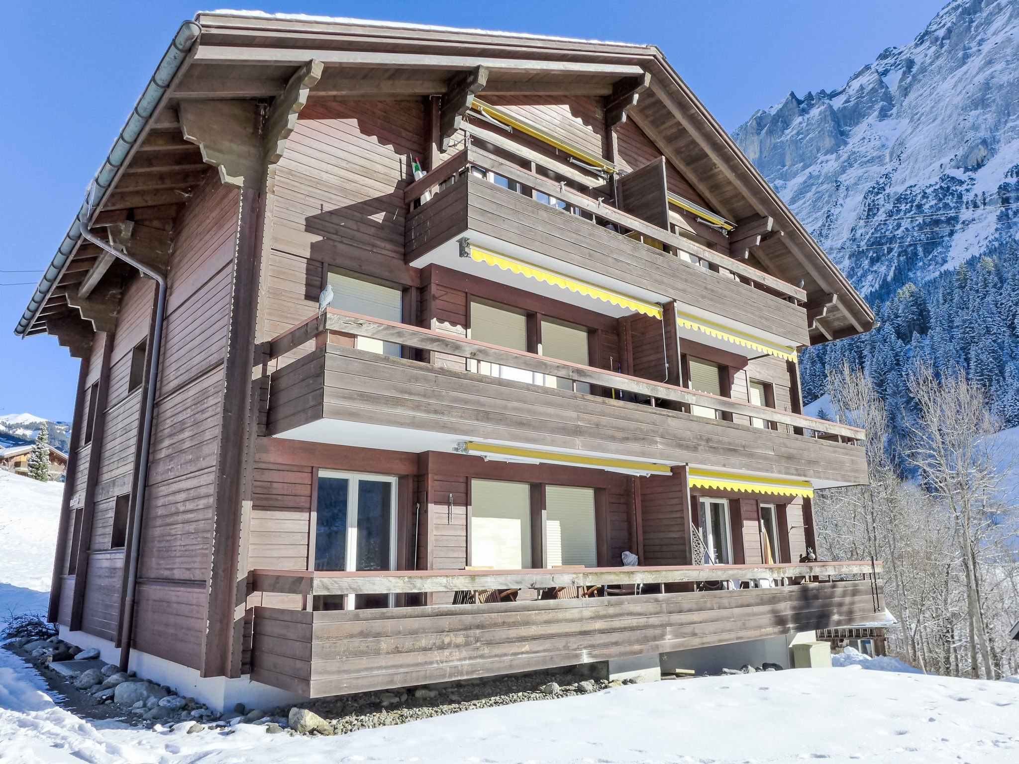 Appartement Chalet Mettli