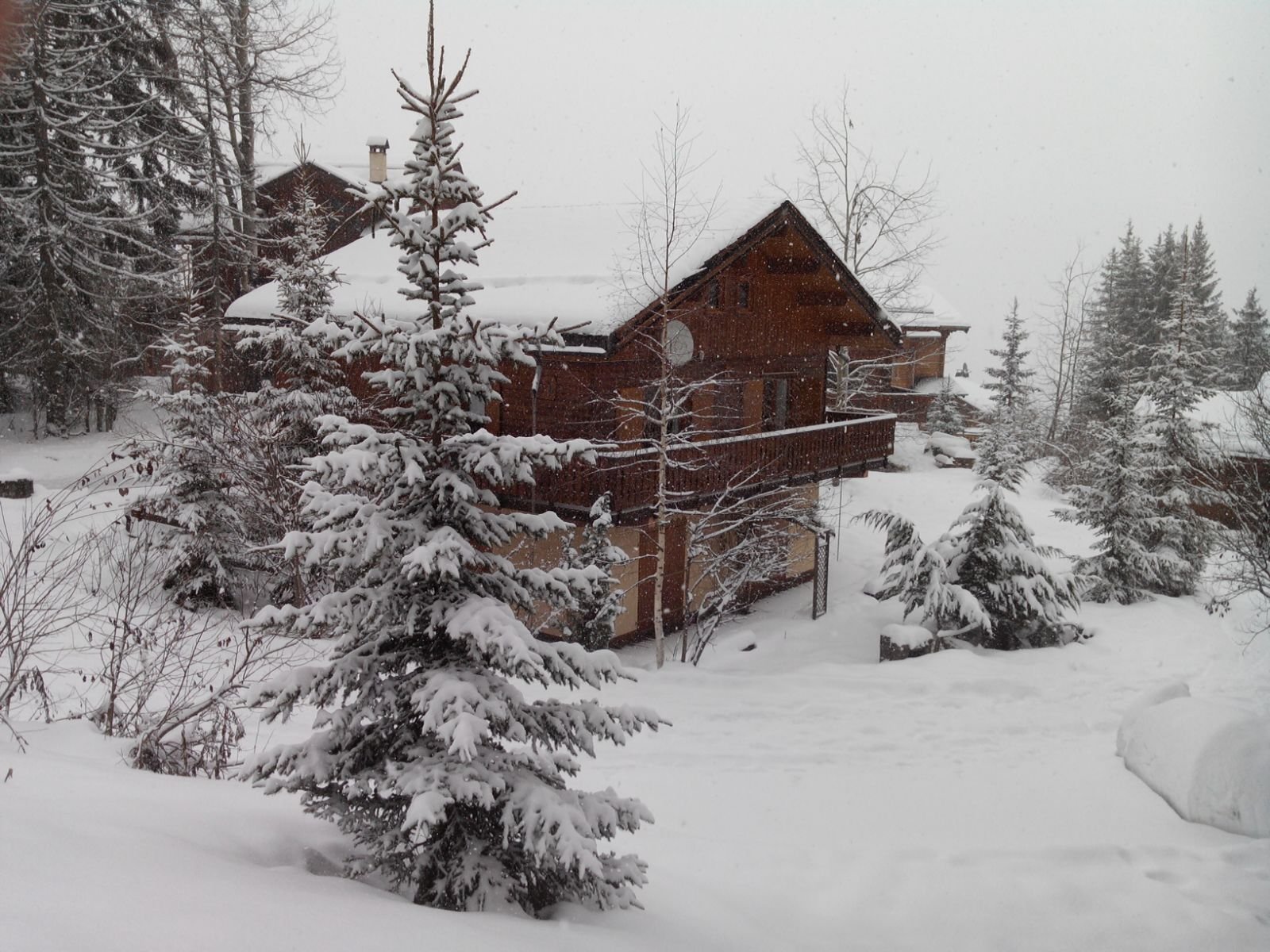 CHALET WOODY WOOD