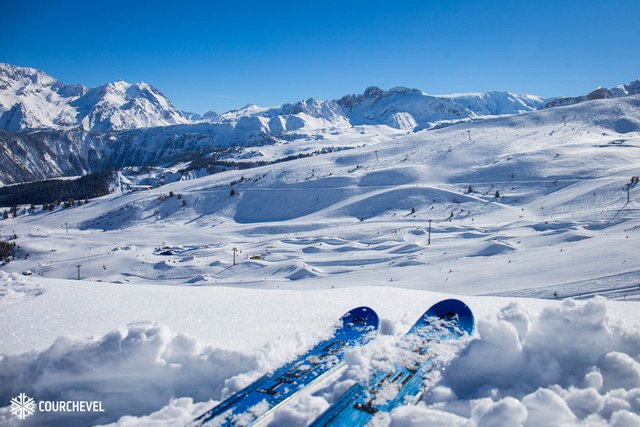 Appartements GRAND BOIS A - La Tania