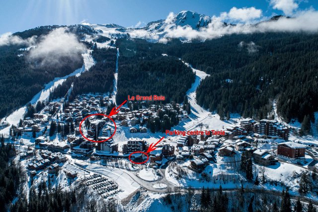 Appartements GRAND BOIS A - La Tania