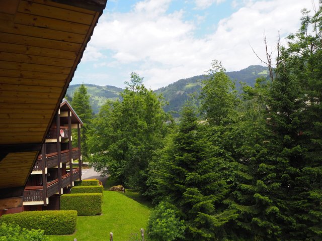 Appartement La Grange - Châtel