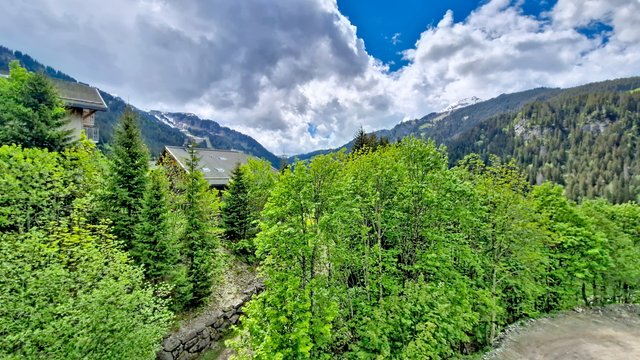 Studio Anna Maria AN37 COSY & NATURE 4 Pers. - Châtel