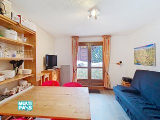 Studio Linga LGA101 SKI & NATURE 4 pers. - Châtel