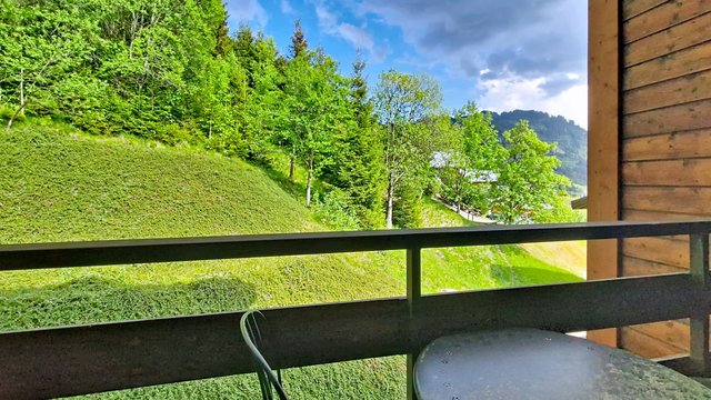 Appartement Yéti YT17B6 MOUNTAIN & NATURE 4 Pers. - Châtel