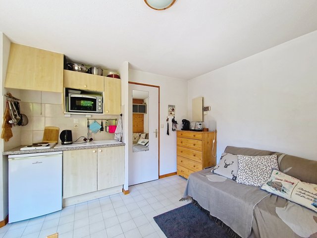 Studio Christina CR19 FAMILY & MOUNTAIN 3 Pers. - Châtel