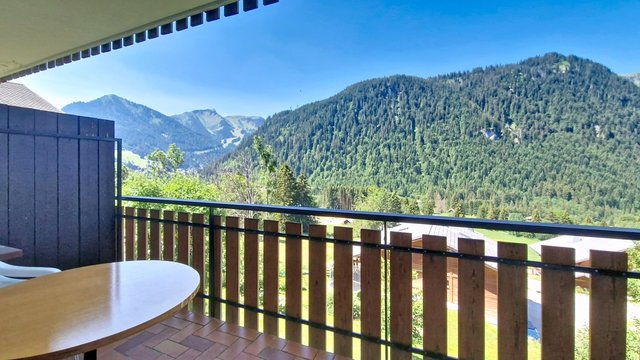 Studio Champs Fleuris CFS7 COSY & VIEW 3 Pers. - Châtel