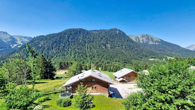 Studio Champs Fleuris CFS7 COSY & VIEW 3 Pers. - Châtel