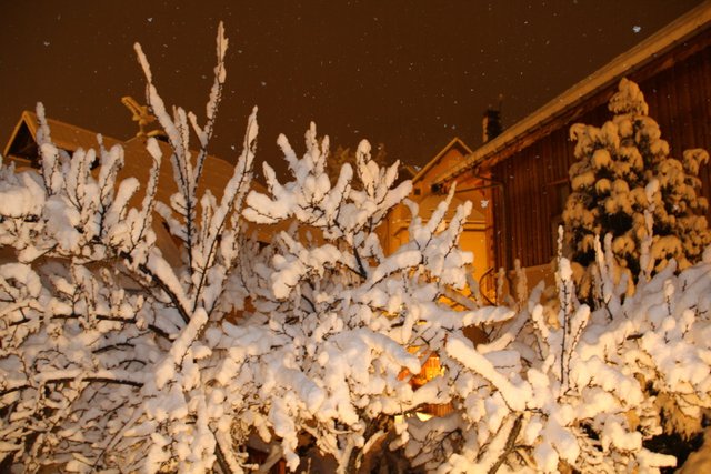 CHALET DES ETERLOUS - Valloire
