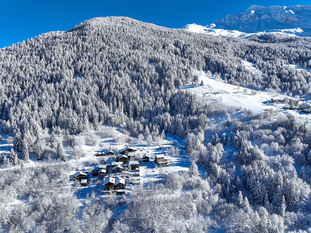 CHALET IRENE