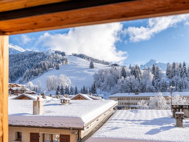 Résidence CHALET LE DANAY - La Clusaz