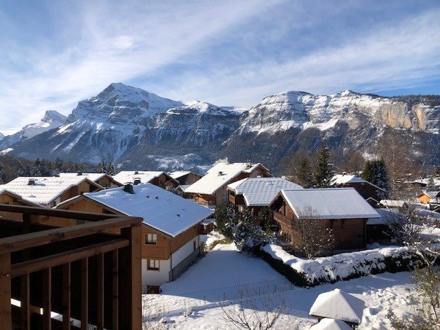 Chalet Eline CELE23 - Les Carroz d'Araches