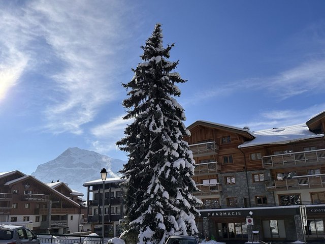 Chalet Eline CELE23 - Les Carroz d'Araches