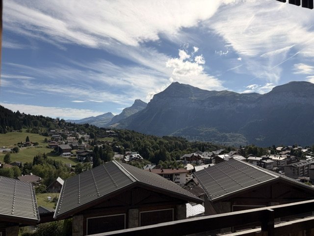 Appartement Fleur Alpes FLA211 - Les Carroz d'Araches