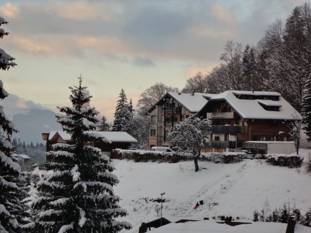 Appartement Adenora ADEN08 - Les Carroz d'Araches