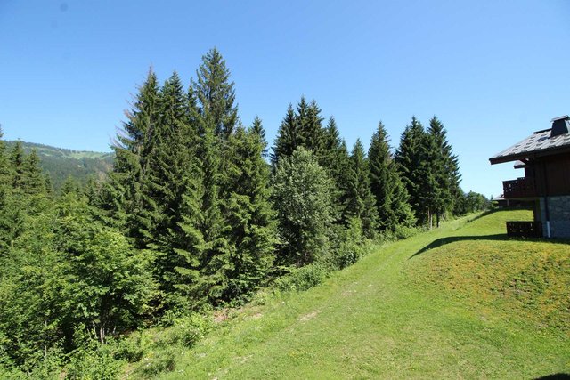 Appartement Les Alpages ALPN04 - Les Carroz d'Araches