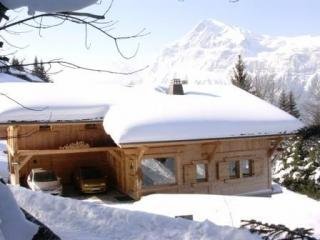 Chalet Les Feux CHAFE0 - Les Carroz d'Araches