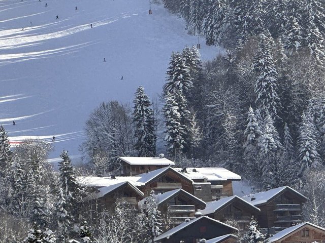 Appartement Grand Cerf GCF306 - Les Carroz d'Araches