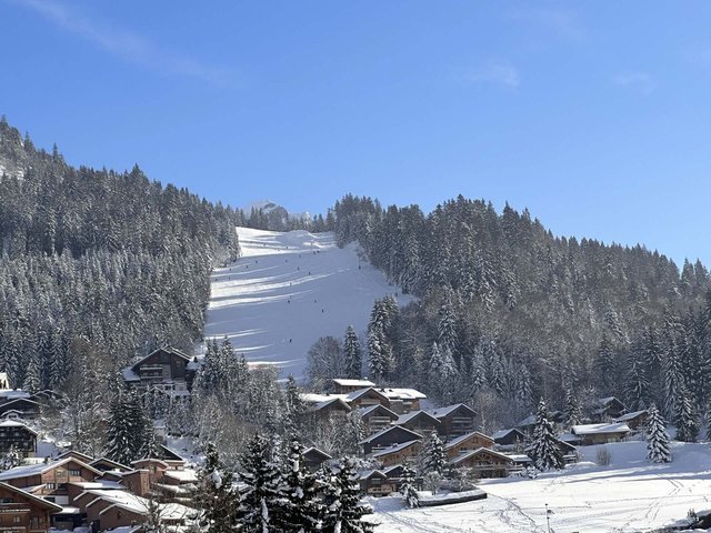 Appartement Grand Cerf GCF306 - Les Carroz d'Araches