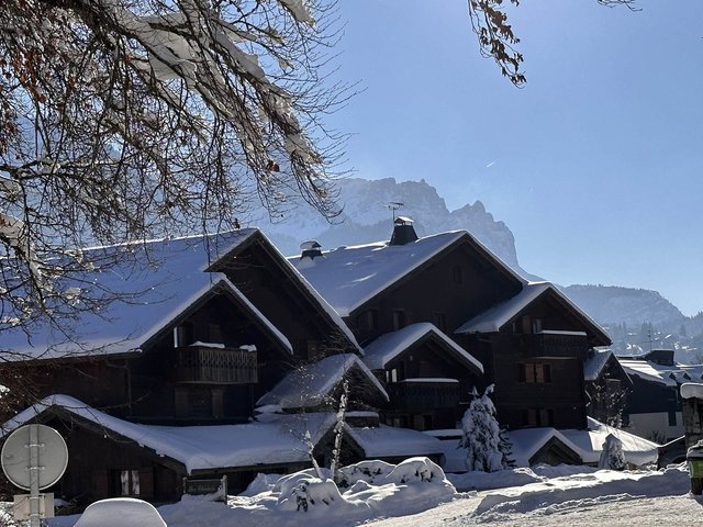 Appartement Trappeurs TRAB03 - Les Carroz d'Araches
