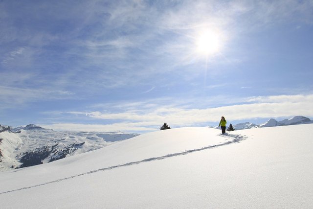 Appartement Pollux POL105 - Flaine Forêt 1700