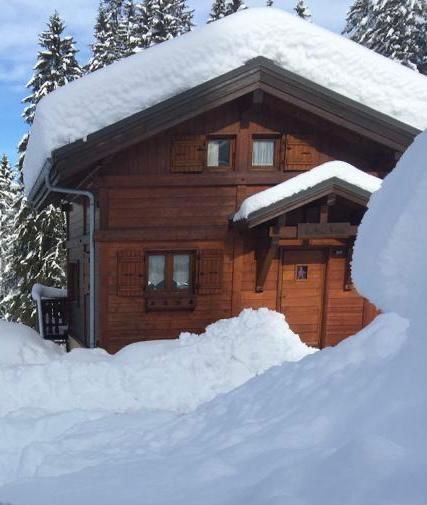 Chalet Du Jardin Alpin CHAROC - Les Carroz d'Araches