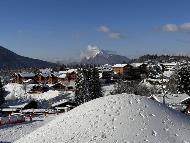 Appartement Les Airelles AIR301 - Les Carroz d'Araches