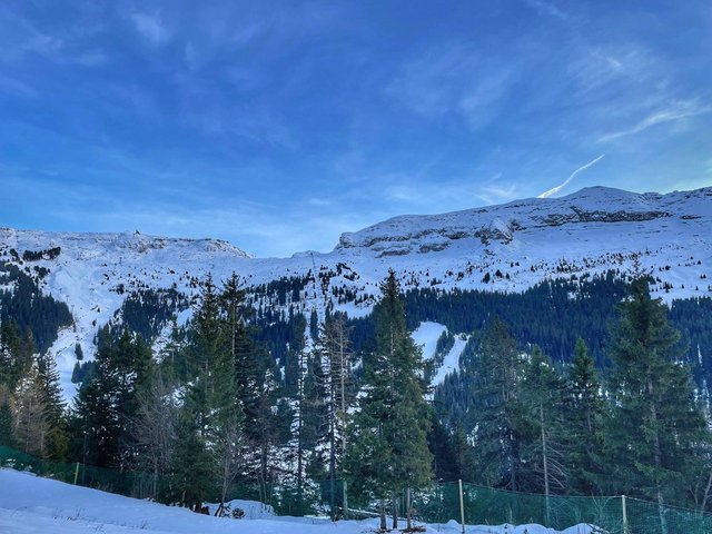 Appartement Verseau VER101 - Flaine Forêt 1700