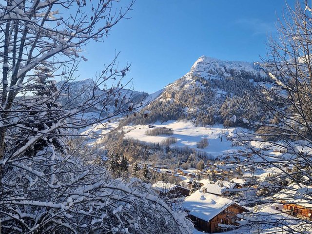 CHALET LES AMETHYSTES - Le Grand Bornand