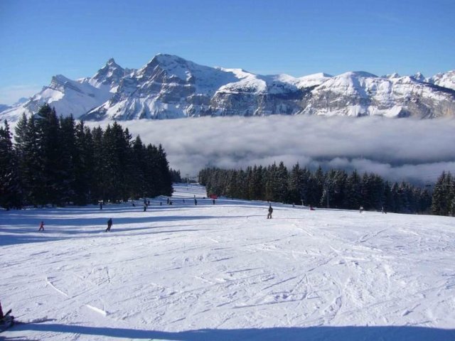 Appartement "Jardin Alpin - Morillon 1100 Les Esserts