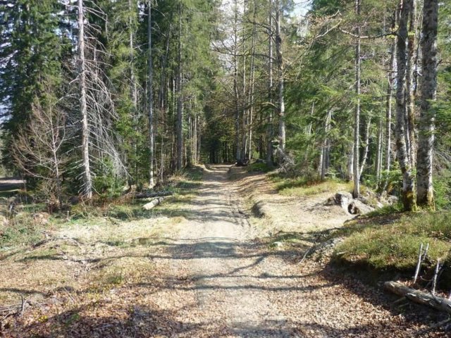 Appartement "Jardin Alpin - Morillon 1100 Les Esserts