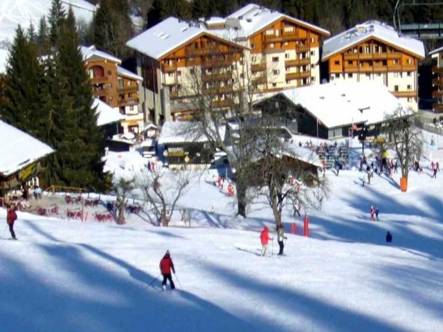 Appartement "Jardin Alpin - Morillon 1100 Les Esserts
