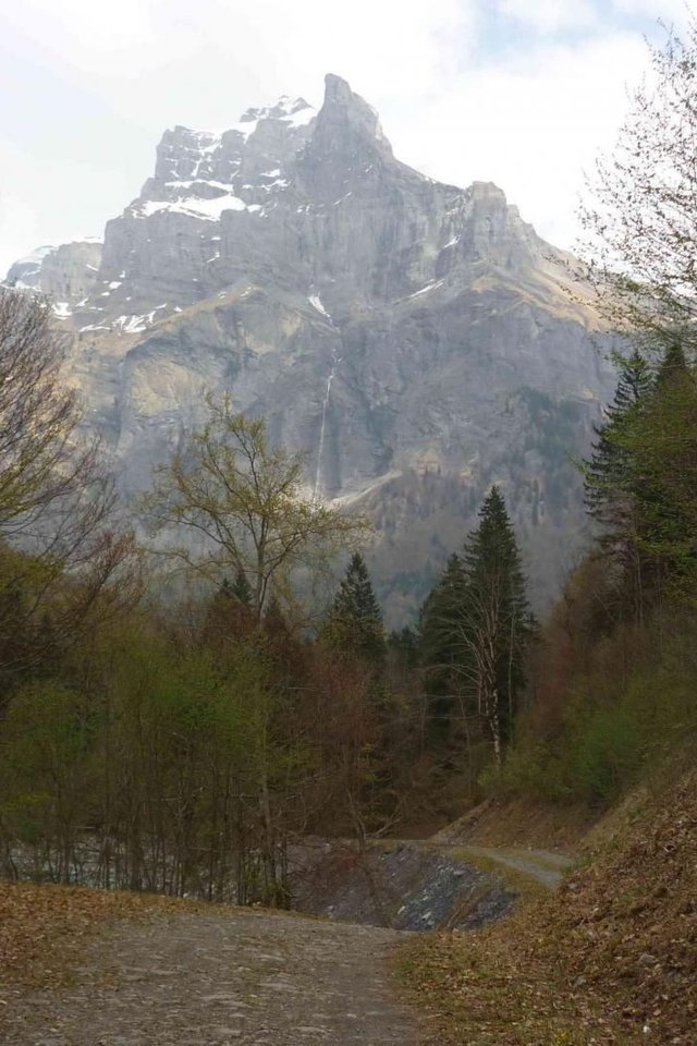 Appartement "Jardin Alpin - Morillon 1100 Les Esserts