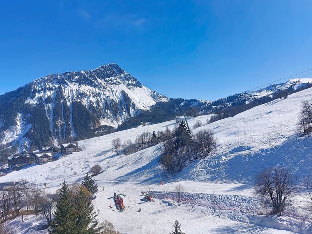 Appartement Soyouz Vanguard - Le Corbier