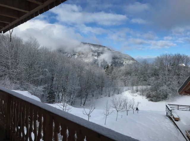 Chalet  CHALEG - Les Carroz d'Araches